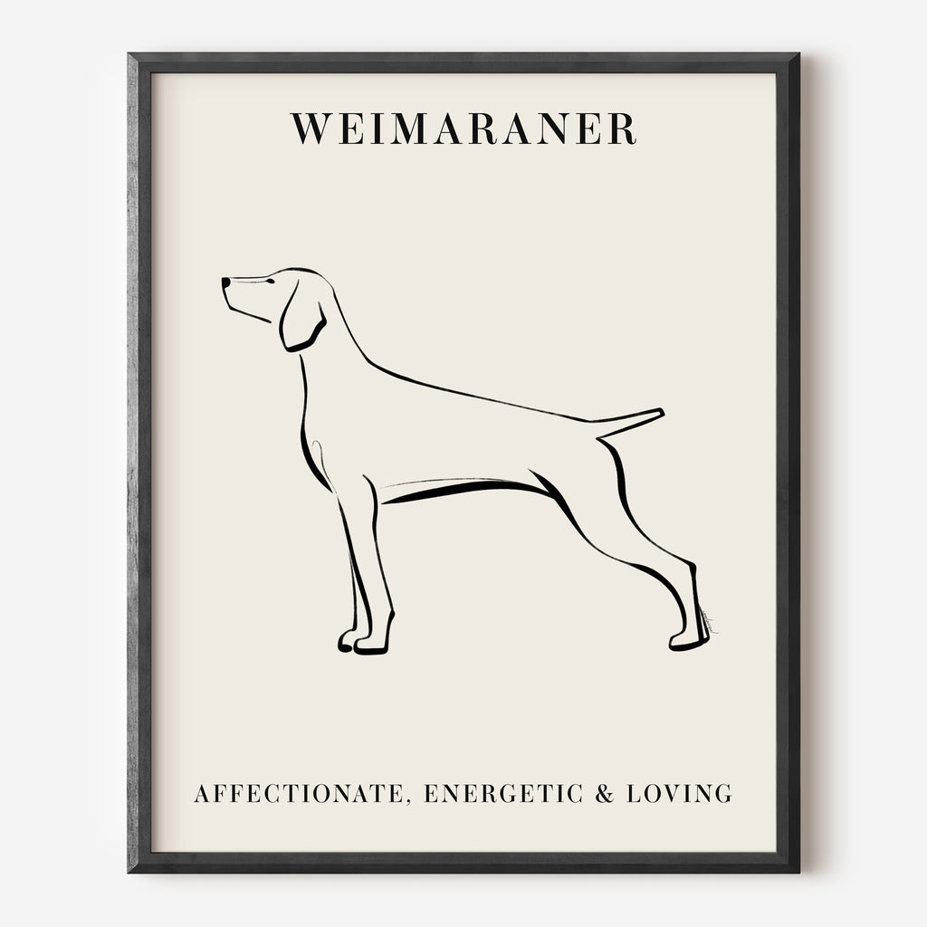 Weimaraner Dog Breed Line Art Print