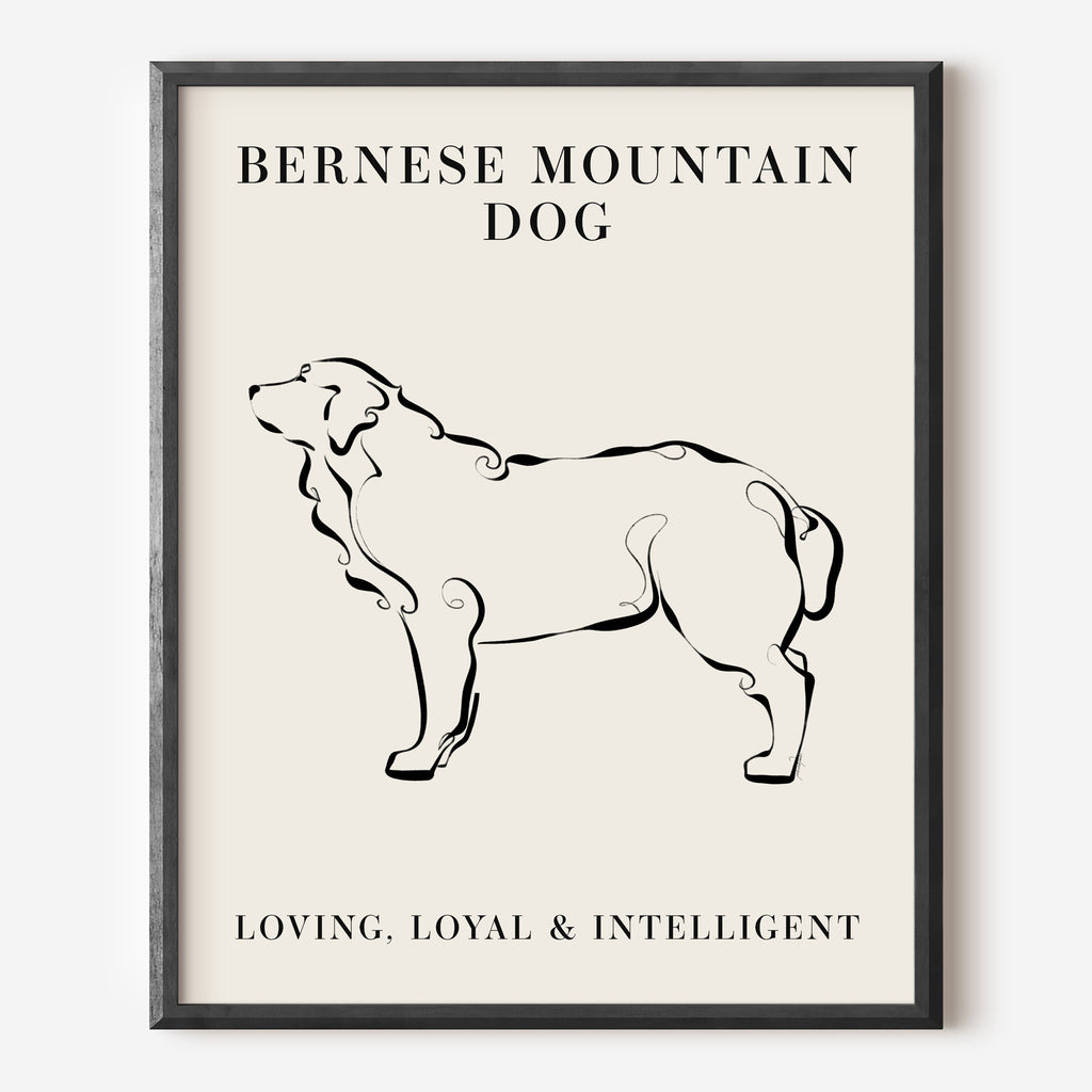 Bernese Mountain Dog Breed Line Art Print