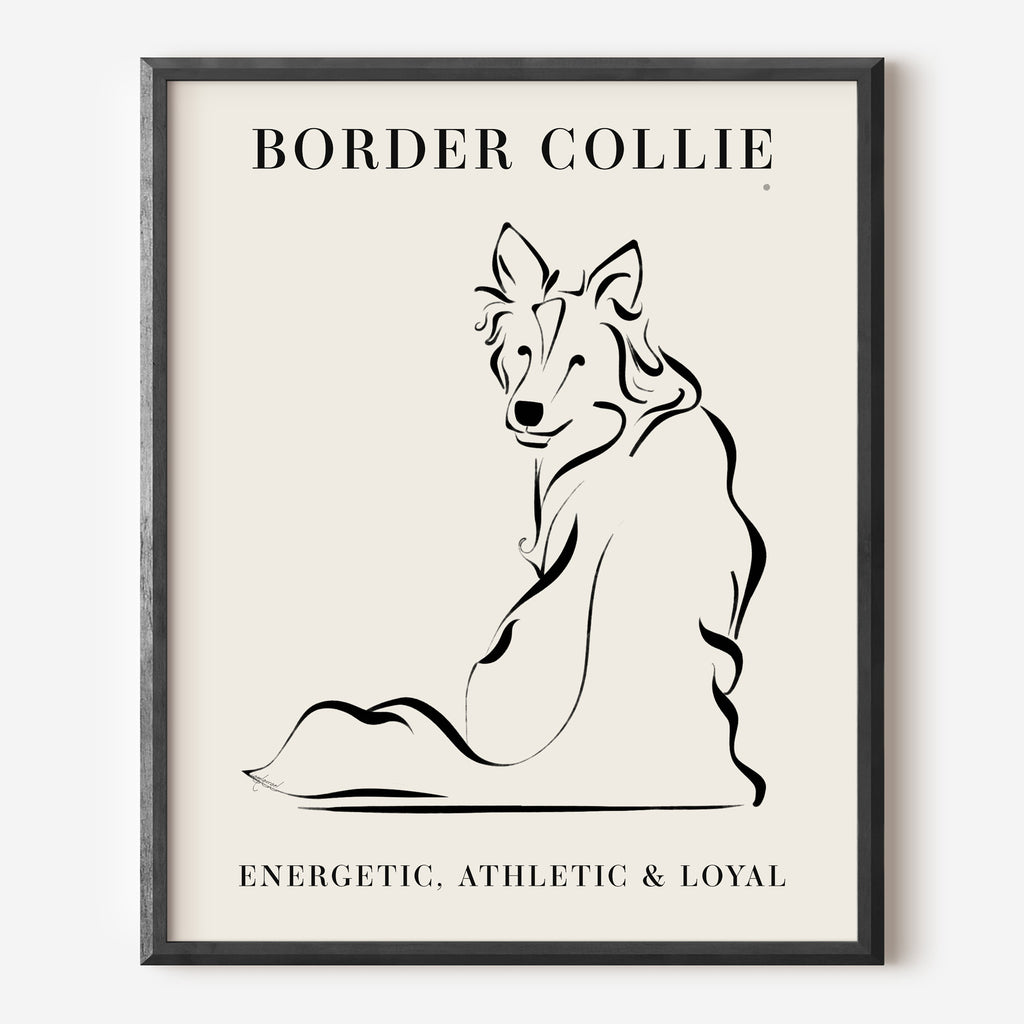 Border Collie Dog Breed Line Art Print