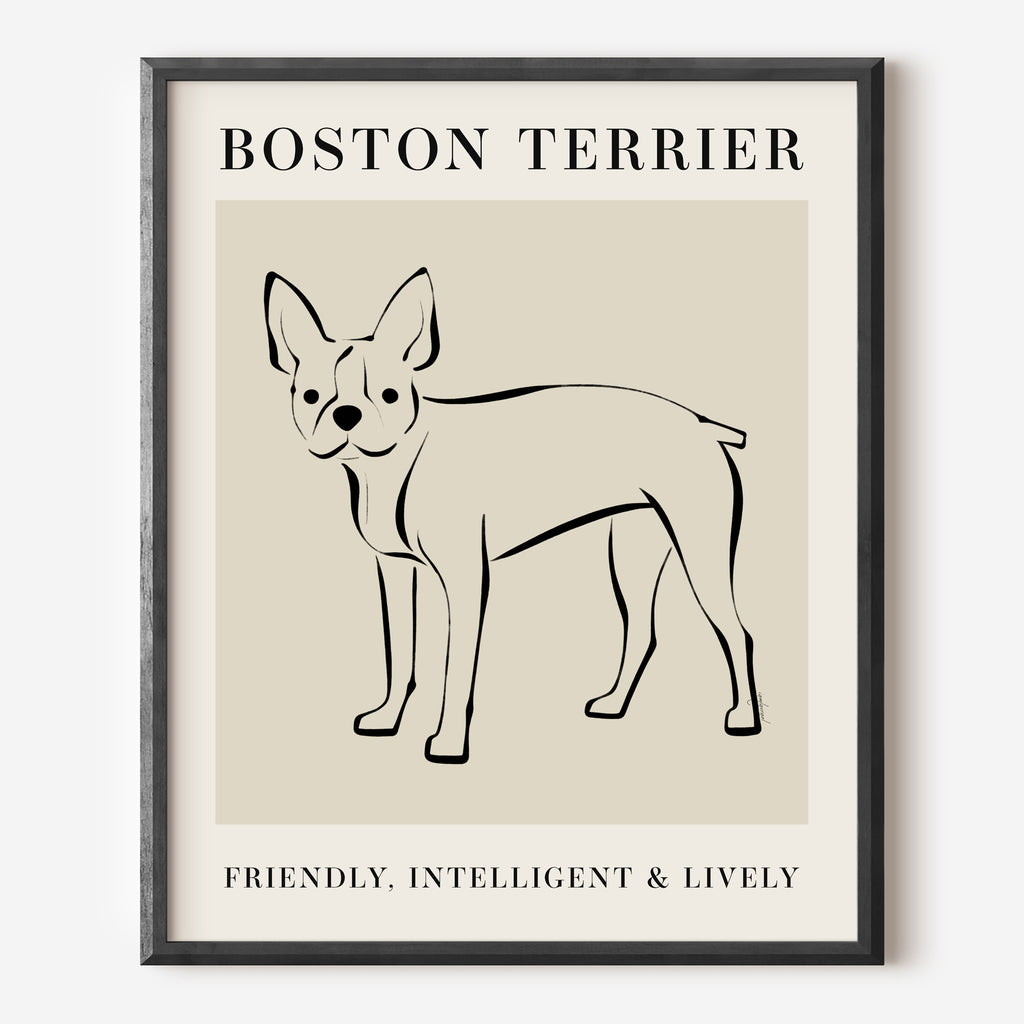 Boston Terrier Dog Breed Line Art Print