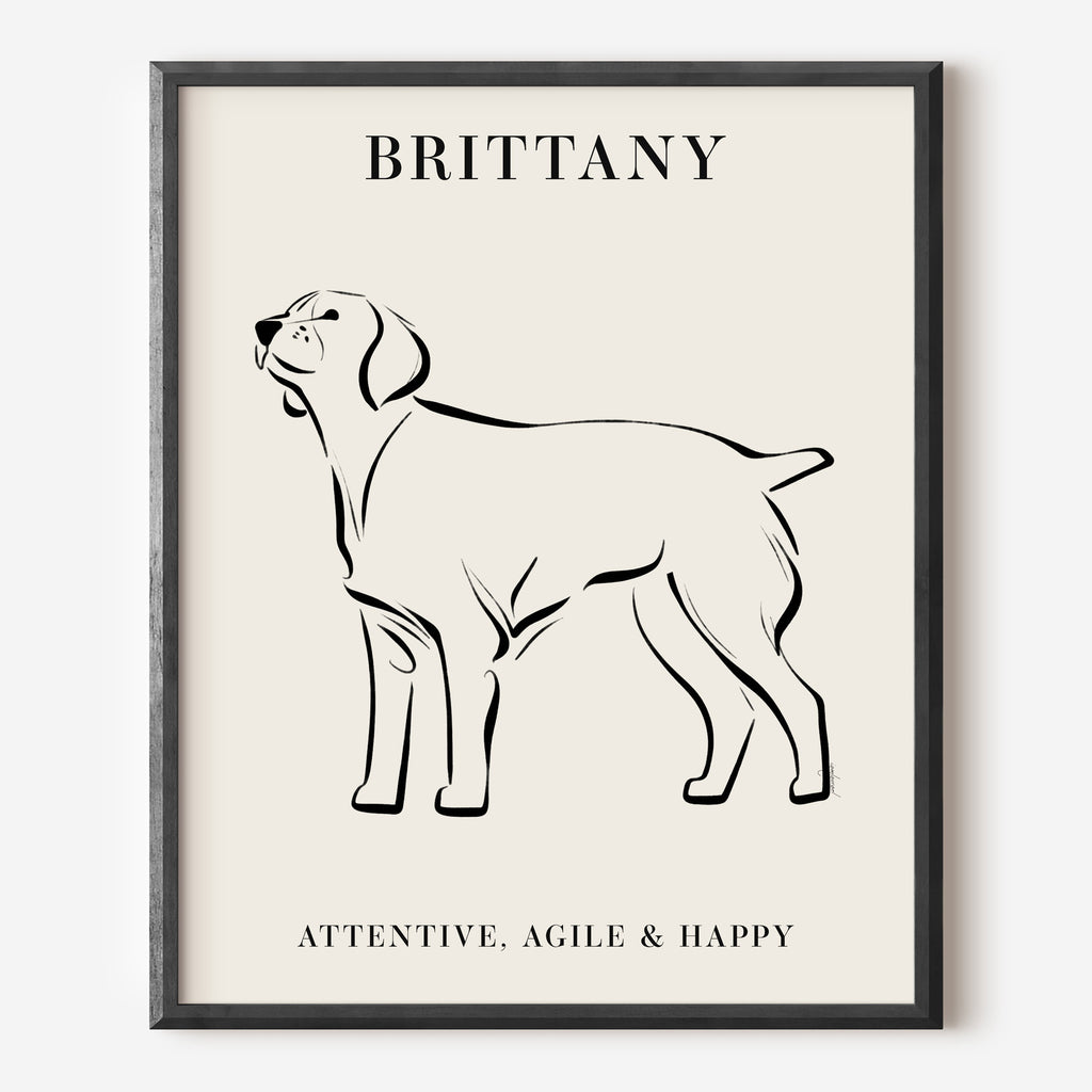 Brittany Dog Breed Line Art Print