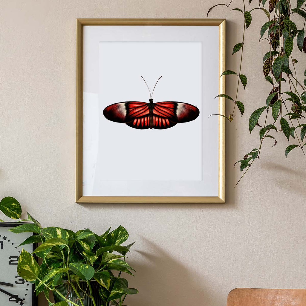 red painted butterfly art print