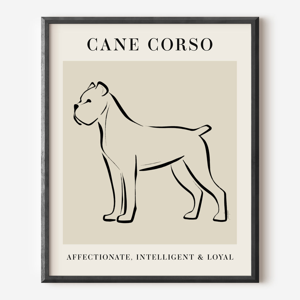 Cane Corso Dog Breed Line Art Print
