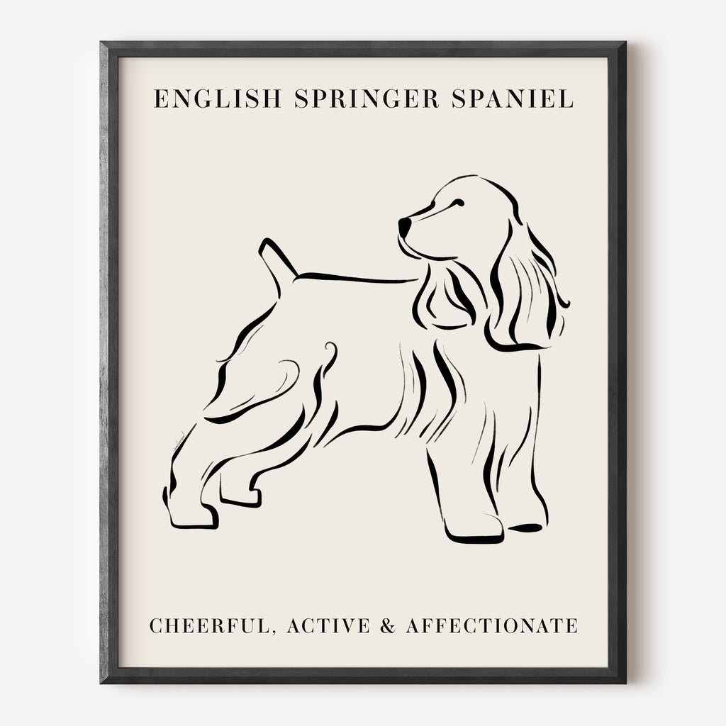 English Springer Spaniel Dog Breed Line Art Print