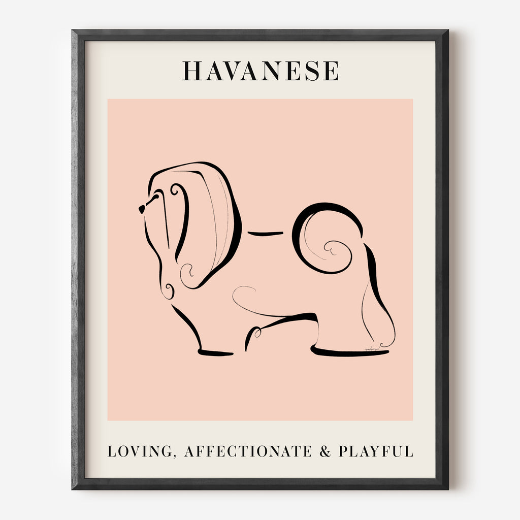 Havanese Dog Breed Line Art Print