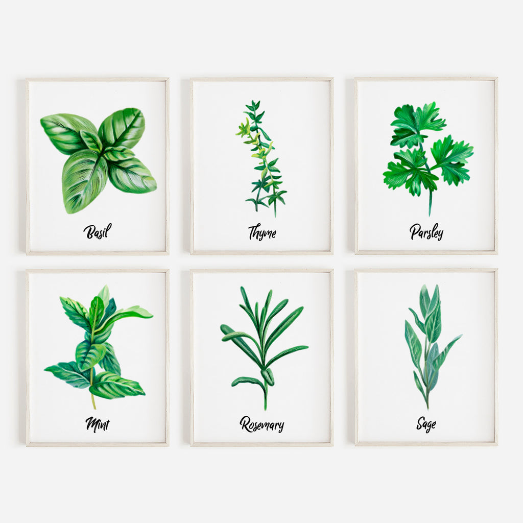 Kitchen Herbs Prints Set