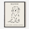 Maltese Dog Breed Line Art Print