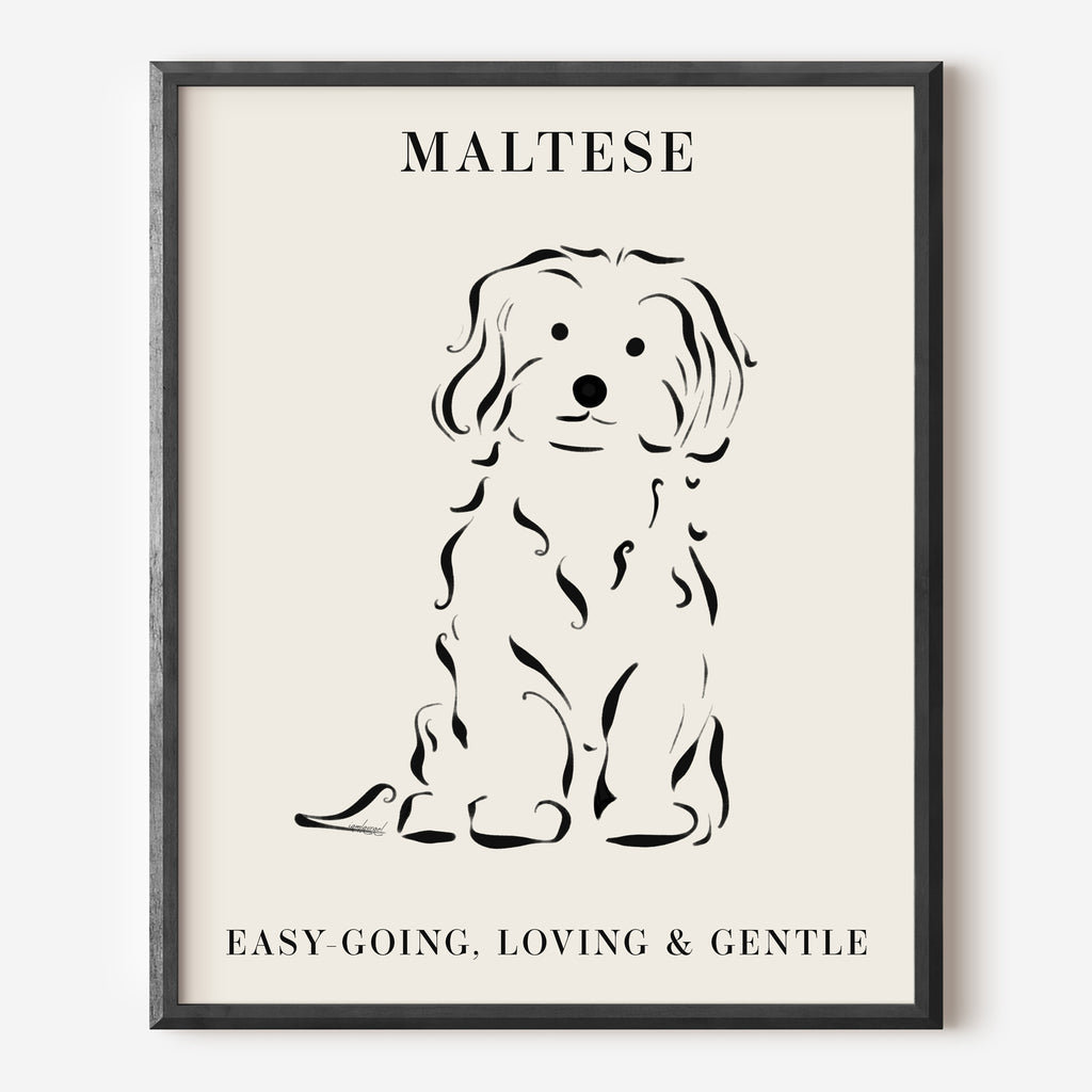 Maltese Dog Breed Line Art Print