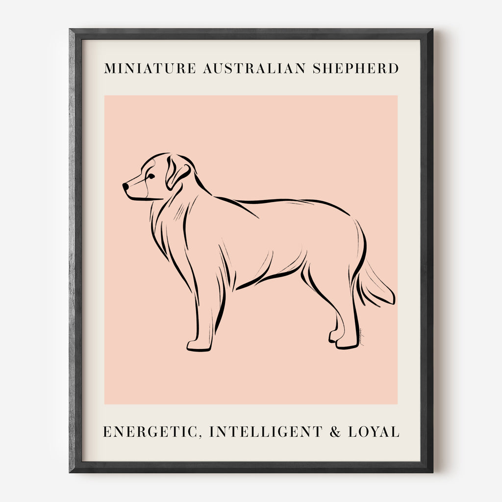 Miniature Australian Shepherd Dog Breed Line Art Print