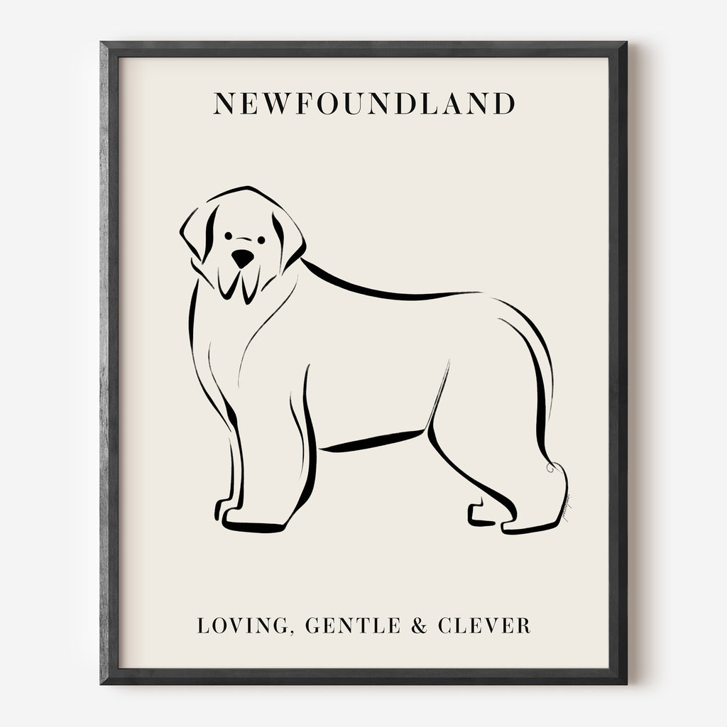 Newfoundland Dog Breed Line Art Print