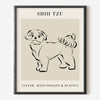 Shih Tzu Dog Breed Line Art Print