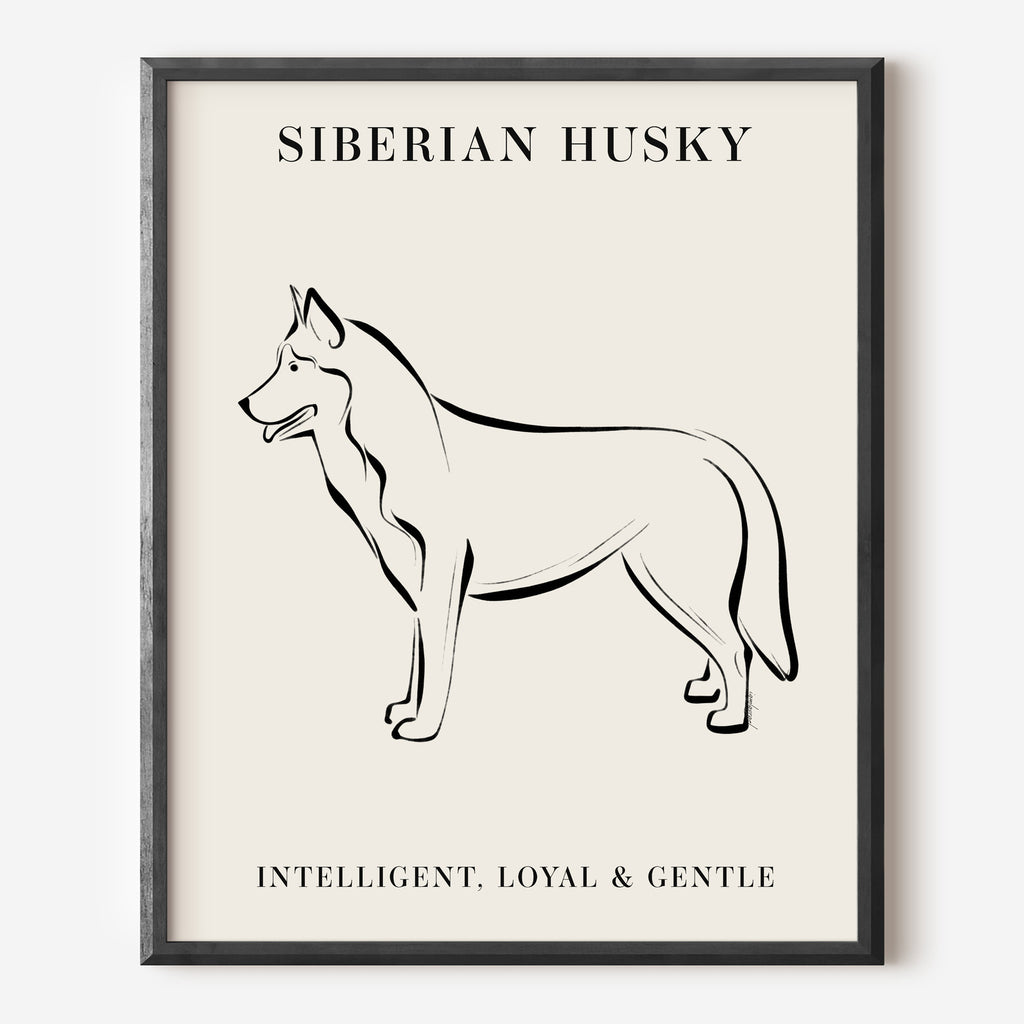 Siberian Husky Dog Breed Line Art Print