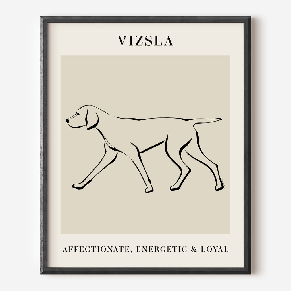 Vizsla Dog Breed Line Art Print
