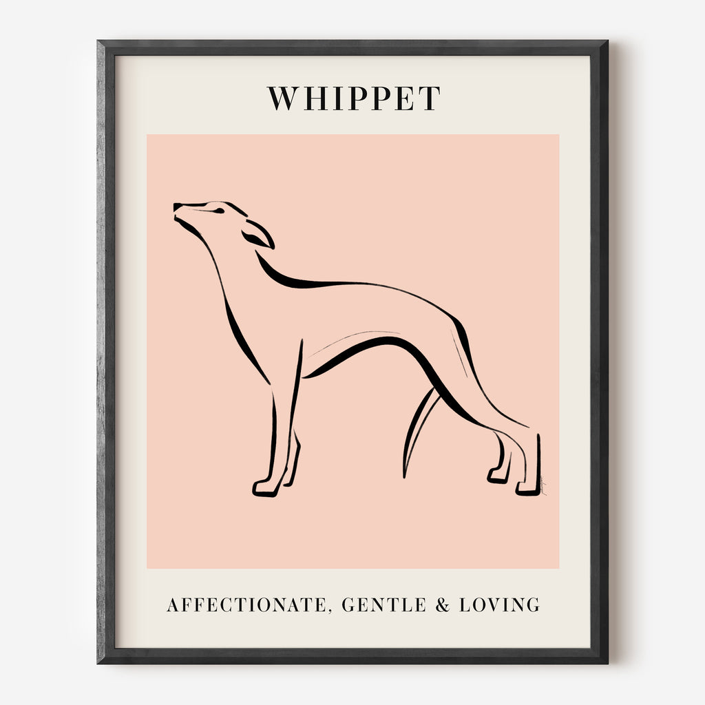 Whippet Dog Breed Line Art Print